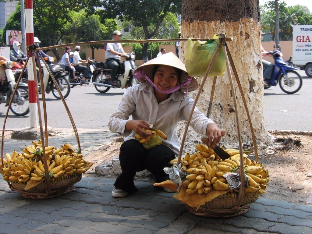 Saigon, Saigon: An American Memoir